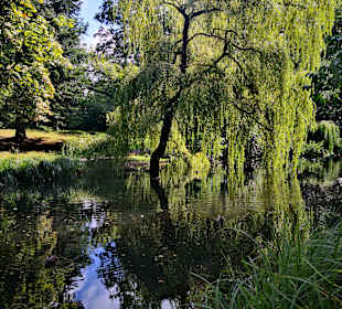 Schlossgarten Schloss Ritzebüttel
