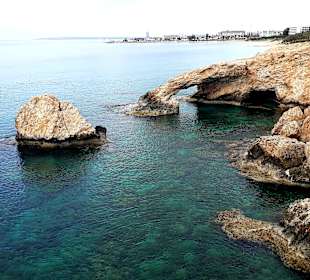 Ayia Napa Bogen Monachus Monachus