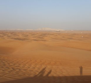 Wüstensafari