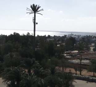 Stadtrundgang El Gouna