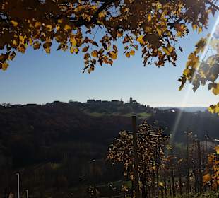 Blick nach St.Anna am Aigen