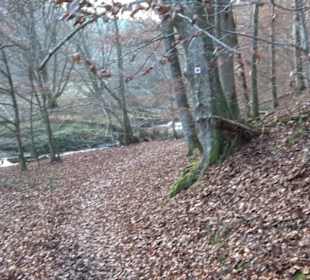 Schönbuch Schaichtal