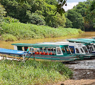 Stadtrundgang Tortuguero