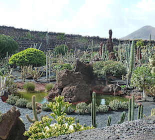 Blick vom Restaurant