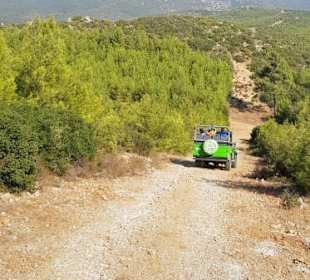 Quer durch das Gelände