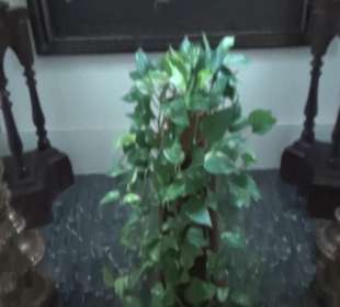 Klosteranlage Santuari de Sant Salvador