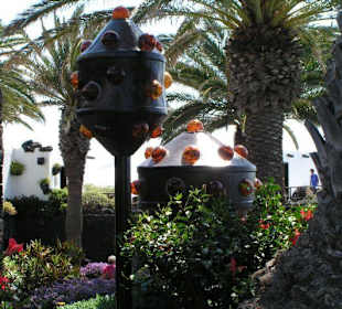 Lanzarote - Jameos del Agua