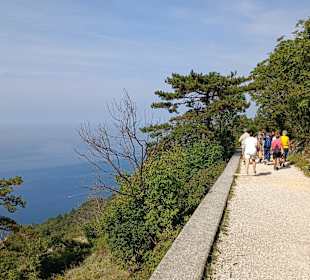 Napoleonweg