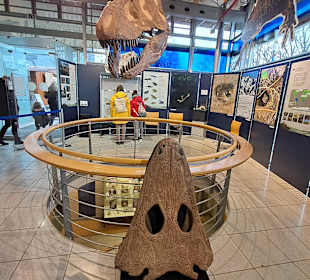 Geoskop in Thallichtenberg