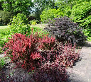 Spaziergang durch den Botanischen Garten Bremen