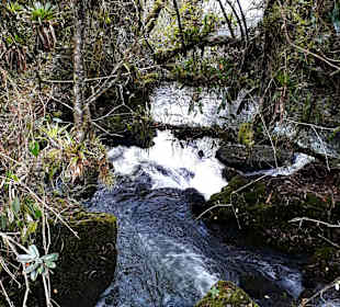 Rundweg „La Isla“ Path