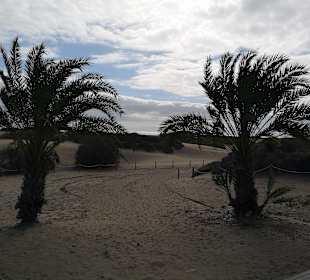 Dünen von Maspalomas