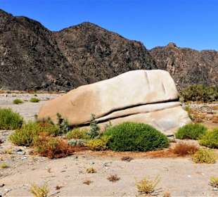 Ausflüge in Marsa Alam-Wadi Abenteuer Safari 
