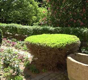 Rosengarten Nördlingen