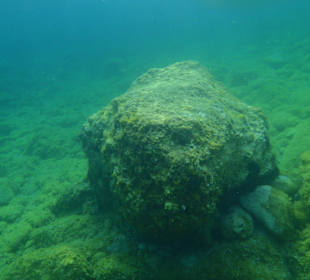 Nurkowanie na wyspie Sv. Nikola