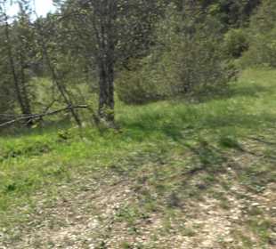 Premiumwanderweg Hochgehschätzt