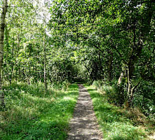 Unterwegs auf dem Huntepadd