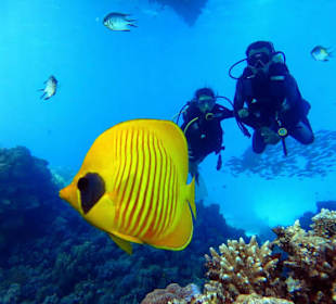Schnuppertauchen hurghada