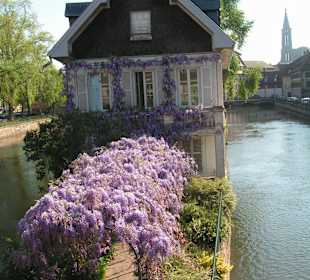 Strassburg oder Strasbourg: ein riesen Hit.