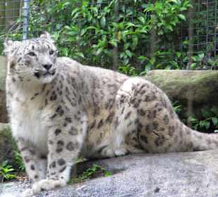 Zoo