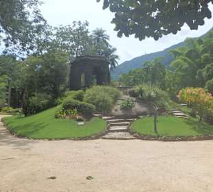 Szenerie im Botanischen Garten
