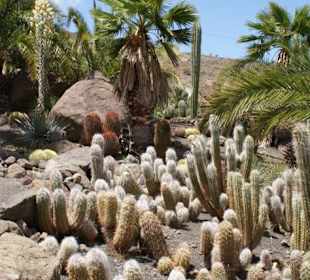 Kakteenpark
