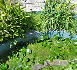 Rundgang durch den Botanischen Garten Cagliari