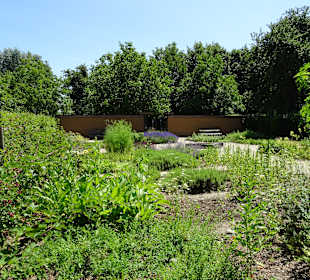 Schaffhauser Kräutergarten