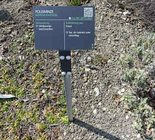 Erläuterungen der Kräuter