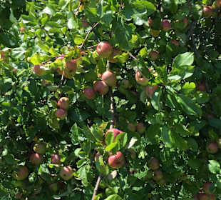 Wandern Grieselstein