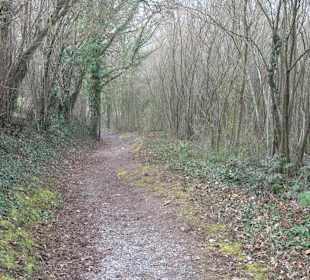 Unterjesinger Wengertwegle