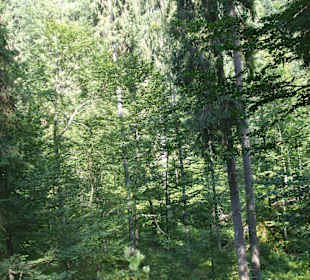 Parcul Natural Apuseni