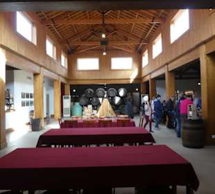 Neue Halle für Verkostung