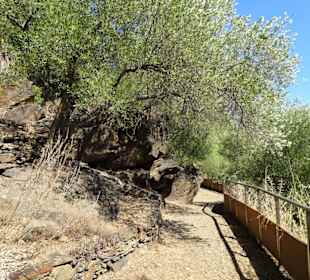 Auf den Wegen des Jardin Méditerranéen
