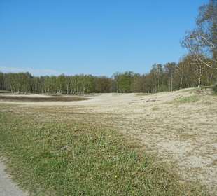 Boberger Niederung