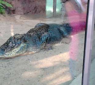 Tierpark Hellabrunn in München