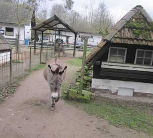 Tierpark Bad Schönborn