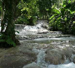 Dunn's Rivver Fall's bei Ocho's Rios