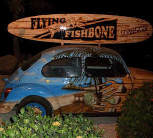 Flying Fishbone