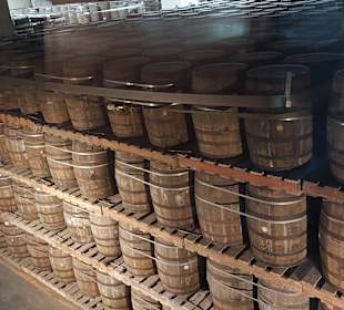 Kavalan Whisky Distillery 