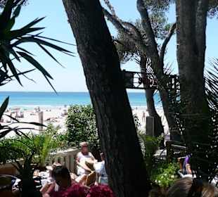 Aussicht vom La Vida