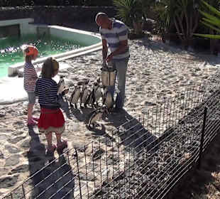 Guinitate Tropical Park