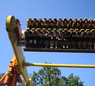 Twister
