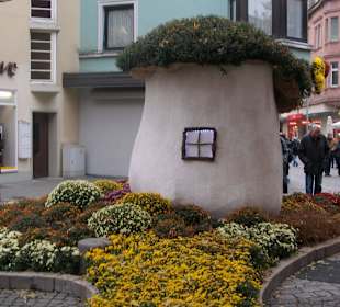 Chrysanthema