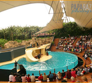 Loro Parque