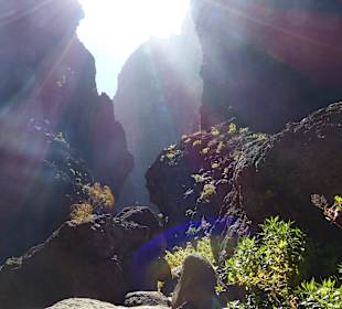 Sonnenlicht im Tal