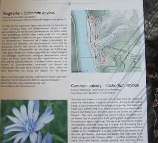 Impressionen Kräuterweg in Assmannshausen