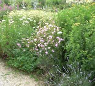 ALB-GOLD Naturgarten