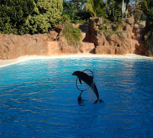Loro Parque 