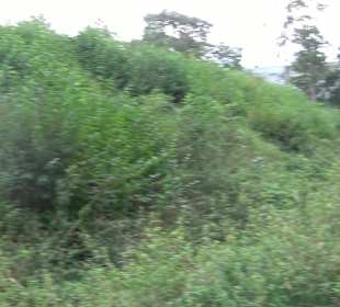 Fort Söflinger Turm